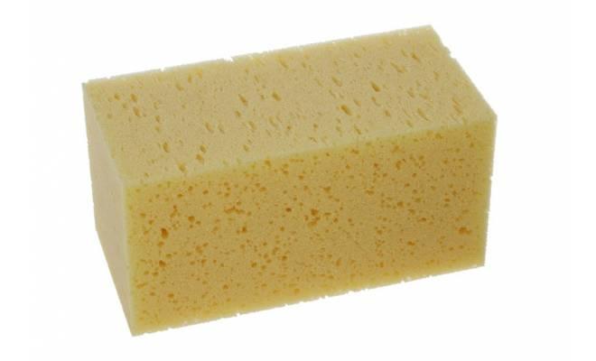 Huba morská huba 200x100x100mm