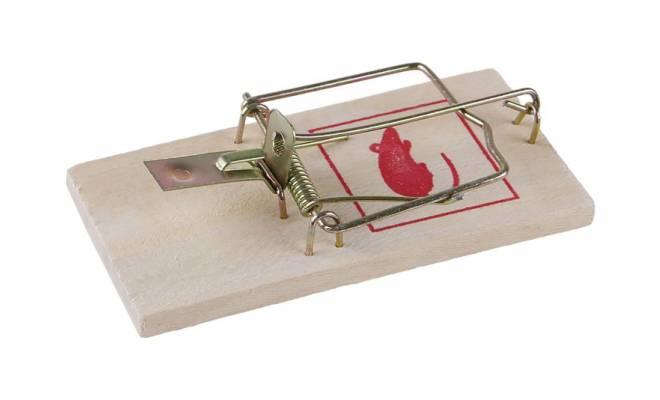 Pasca na myši drevená 90x45mm 2ks