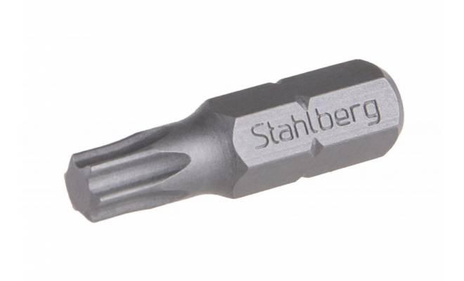Bit T 10 25mm S2